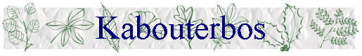 Kabouterbos